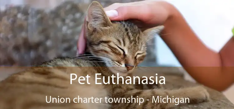 Pet Euthanasia Union charter township - Michigan