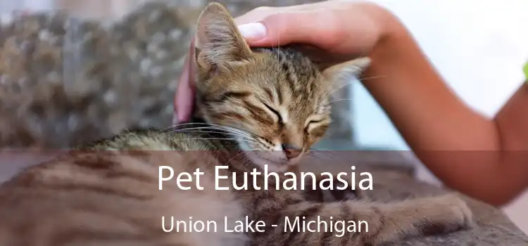 Pet Euthanasia Union Lake - Michigan