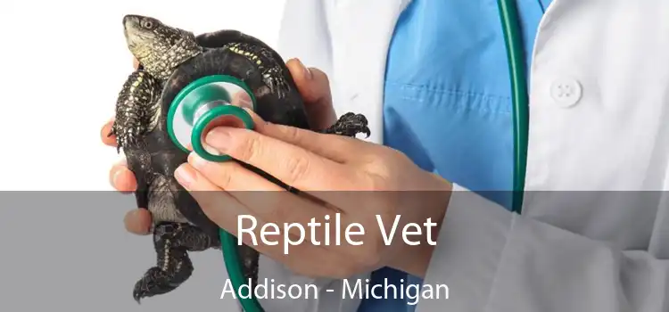 Reptile Vet Addison - Michigan