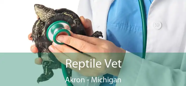 Reptile Vet Akron - Michigan