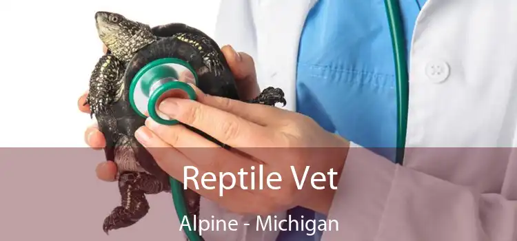 Reptile Vet Alpine - Michigan