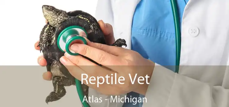 Reptile Vet Atlas - Michigan