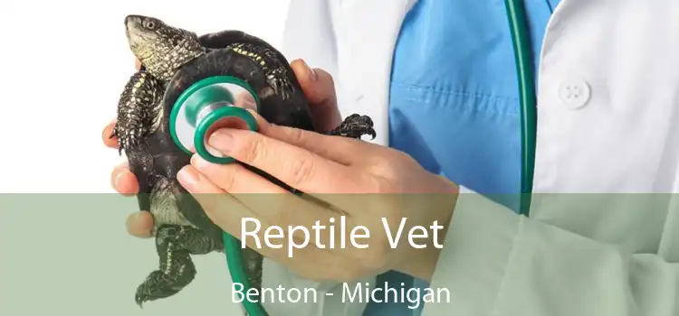 Reptile Vet Benton - Michigan