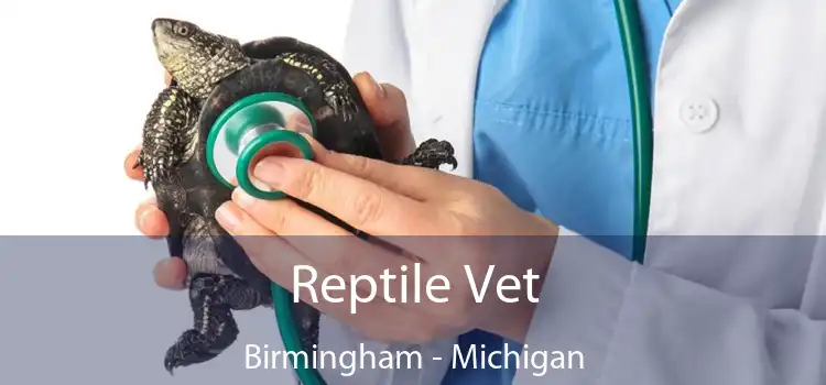 Reptile Vet Birmingham - Michigan