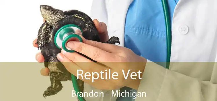 Reptile Vet Brandon - Michigan