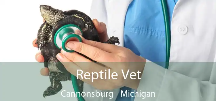 Reptile Vet Cannonsburg - Michigan