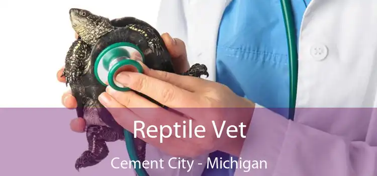 Reptile Vet Cement City - Michigan