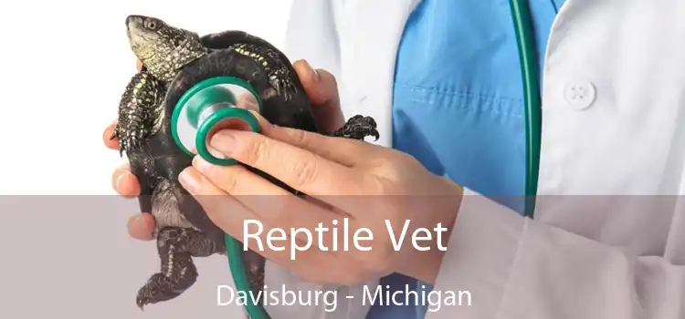 Reptile Vet Davisburg - Michigan