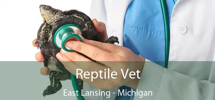 Reptile Vet East Lansing - Michigan