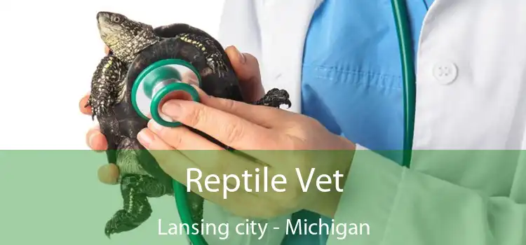 Reptile Vet Lansing city - Michigan