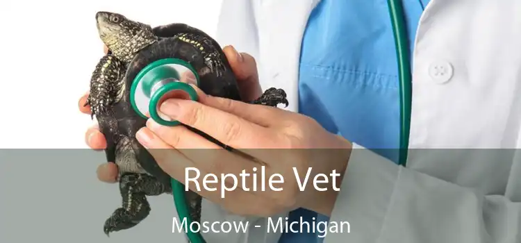 Reptile Vet Moscow - Michigan