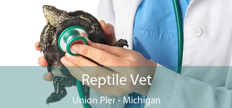 Reptile Vet Union Pier - Michigan