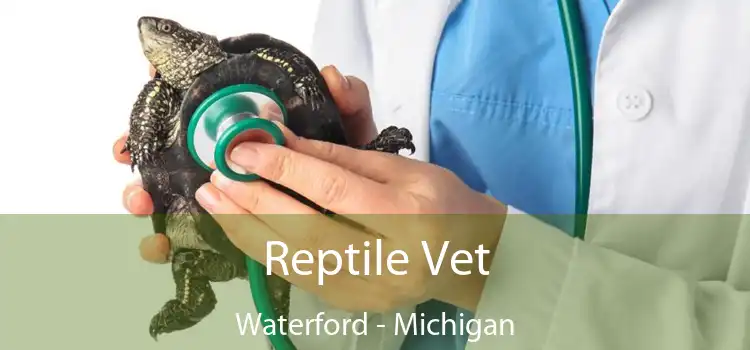 Reptile Vet Waterford - Michigan