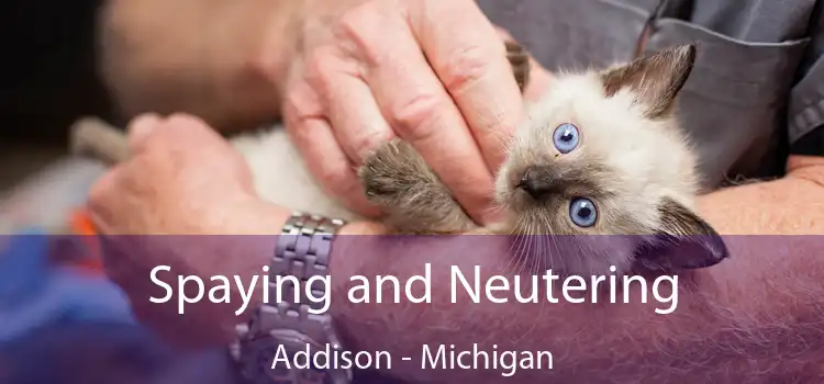 Spaying and Neutering Addison - Michigan