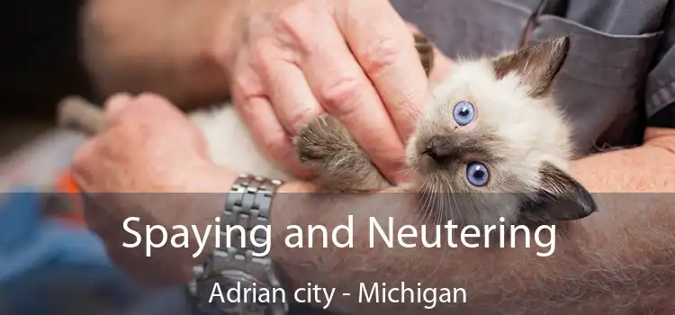 Spaying and Neutering Adrian city - Michigan