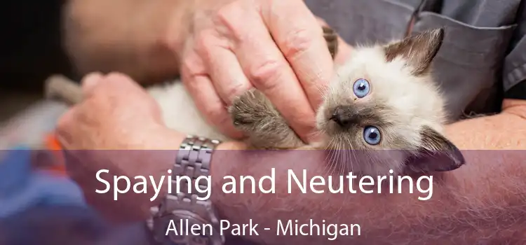 Spaying and Neutering Allen Park - Michigan