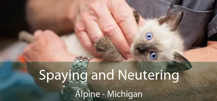 Spaying and Neutering Alpine - Michigan