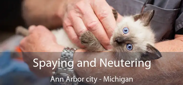 Spaying and Neutering Ann Arbor city - Michigan