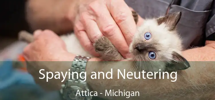 Spaying and Neutering Attica - Michigan