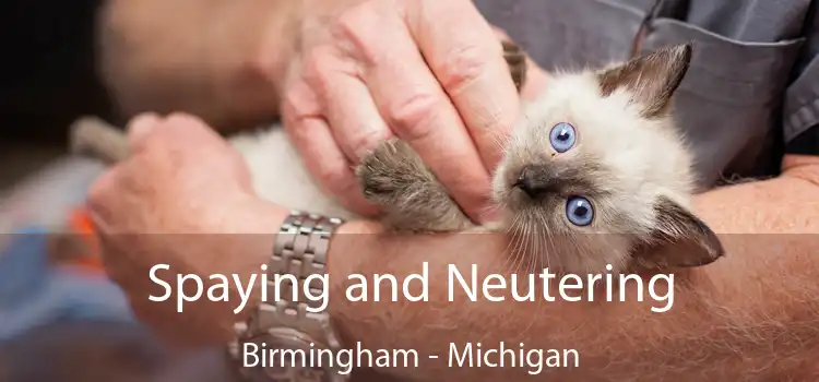 Spaying and Neutering Birmingham - Michigan