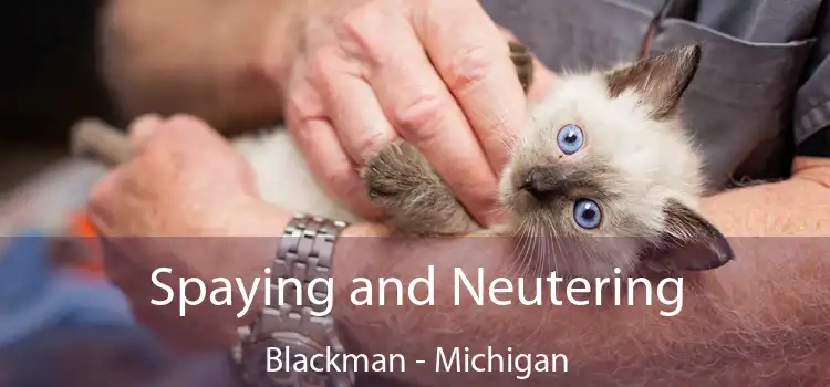 Spaying and Neutering Blackman - Michigan