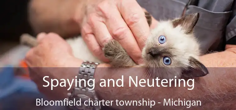 Spaying and Neutering Bloomfield charter township - Michigan