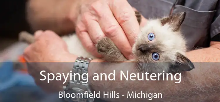 Spaying and Neutering Bloomfield Hills - Michigan