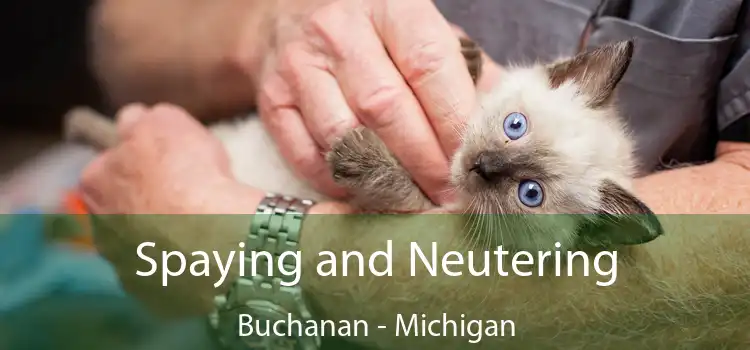 Spaying and Neutering Buchanan - Michigan