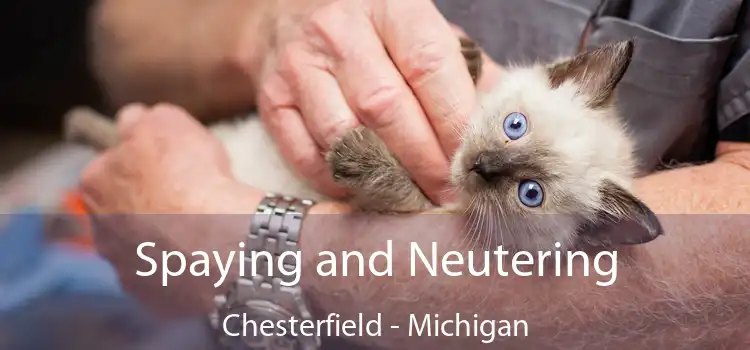 Spaying and Neutering Chesterfield - Michigan