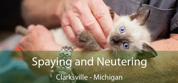 Spaying and Neutering Clarksville - Michigan