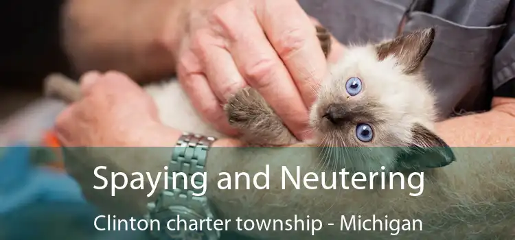 Spaying and Neutering Clinton charter township - Michigan