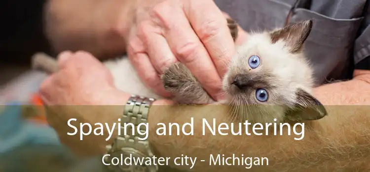 Spaying and Neutering Coldwater city - Michigan