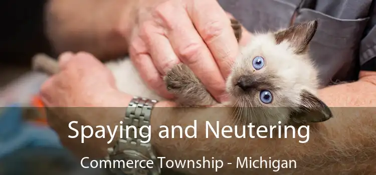 Spaying and Neutering Commerce Township - Michigan