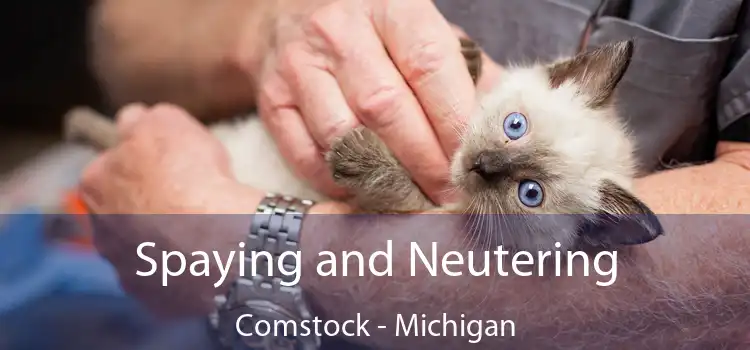 Spaying and Neutering Comstock - Michigan