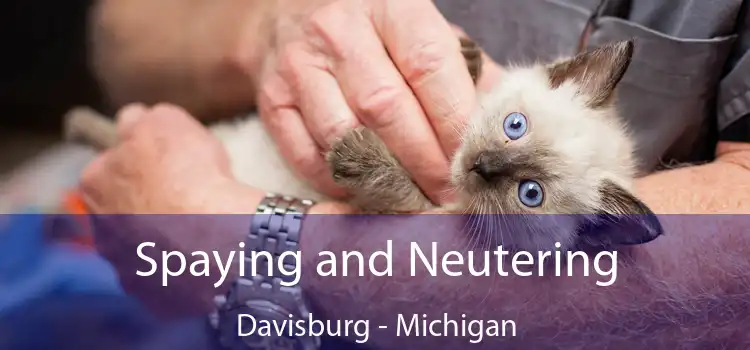 Spaying and Neutering Davisburg - Michigan