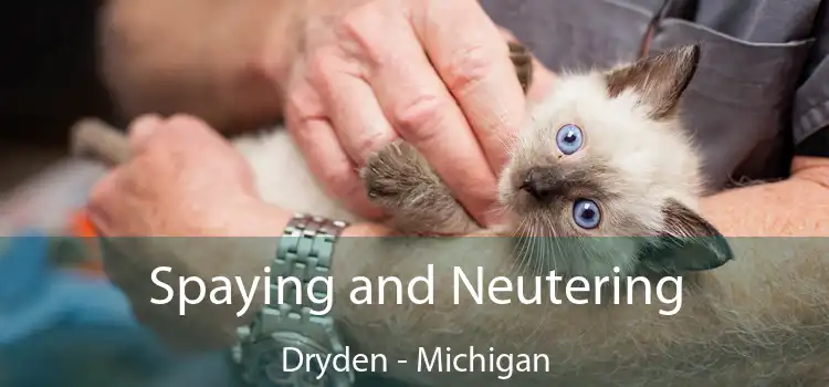 Spaying and Neutering Dryden - Michigan