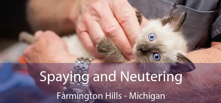 Spaying and Neutering Farmington Hills - Michigan