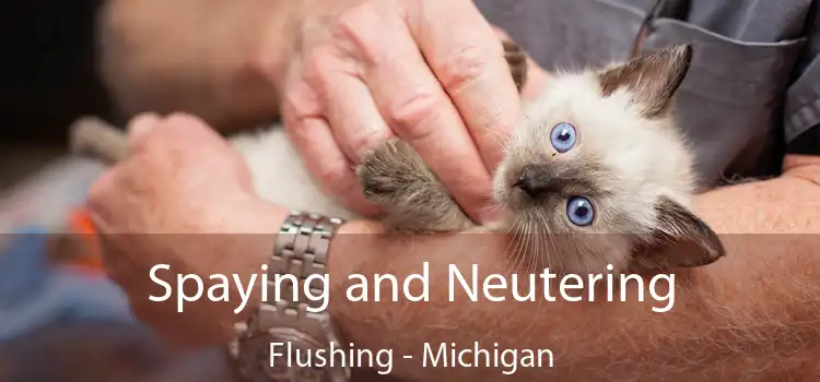 Spaying and Neutering Flushing - Michigan