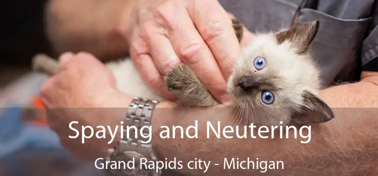 Spaying and Neutering Grand Rapids city - Michigan