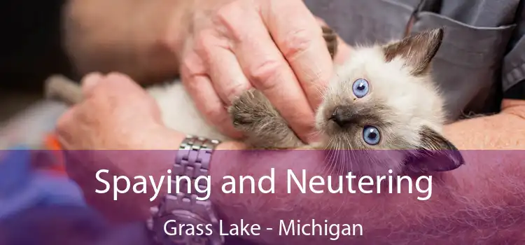 Spaying and Neutering Grass Lake - Michigan