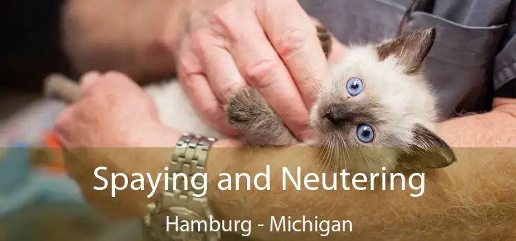 Spaying and Neutering Hamburg - Michigan