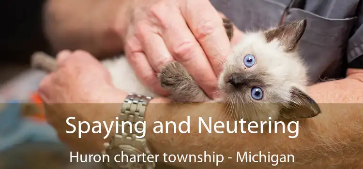 Spaying and Neutering Huron charter township - Michigan