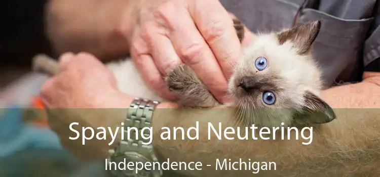 Spaying and Neutering Independence - Michigan