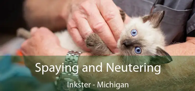 Spaying and Neutering Inkster - Michigan