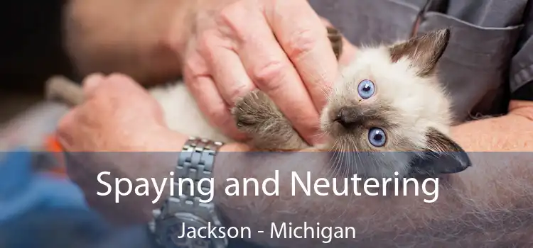 Spaying and Neutering Jackson - Michigan