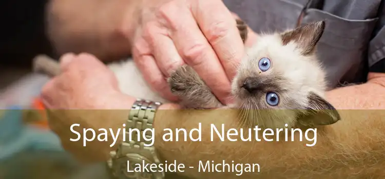 Spaying and Neutering Lakeside - Michigan