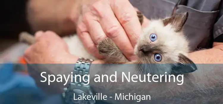 Spaying and Neutering Lakeville - Michigan