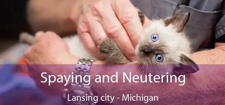 Spaying and Neutering Lansing city - Michigan