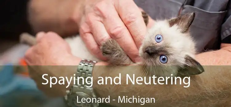 Spaying and Neutering Leonard - Michigan