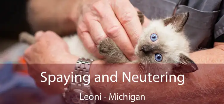 Spaying and Neutering Leoni - Michigan